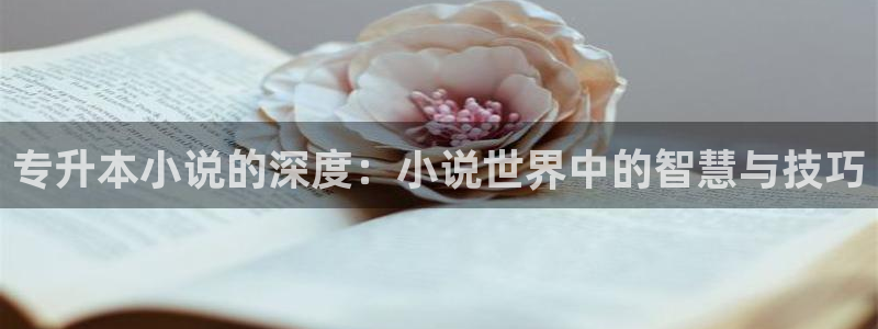 下载笔趣书阁小说：专升本小说的深度：小说世界中的智慧与技巧