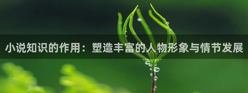 笔趣书阁app下载：小说知识的作用：塑造丰富的人物形象与情节发展