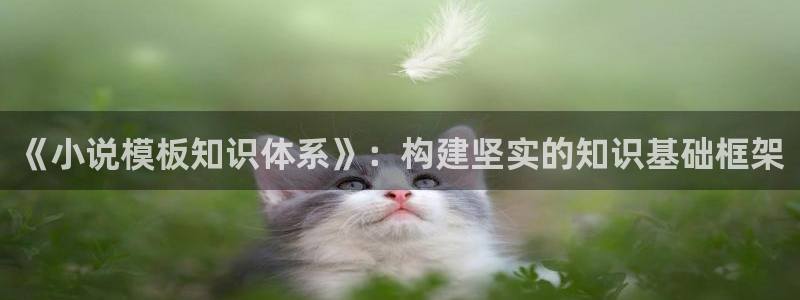 笔趣书阁免费版：《小说模板知识体系》：构建坚实的知识基础框架