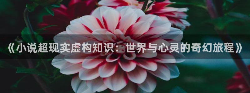 笔趣书阁老版本下载