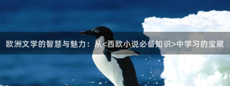 斗破苍穹小说笔趣书阁