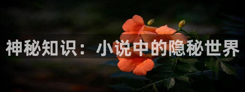 笔趣书阁最近咋看不了了