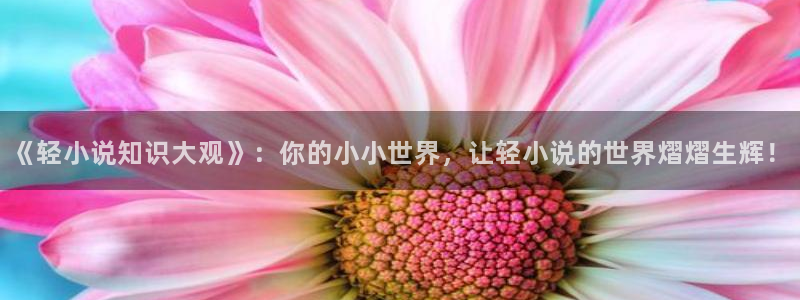 暗河长明txt趣书网：《轻小说知识大观》：你的小小世界，让轻小说的世界熠熠生辉！