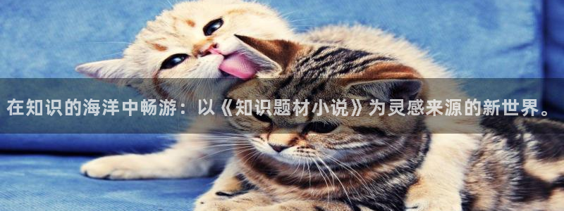笔趣书阁红色
