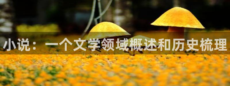 趣书网cc宝书