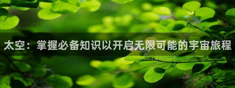 成为起点男的金主爸爸趣书网