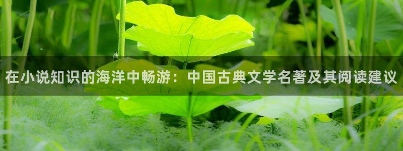 笔趣书阁免费阅读小说软件