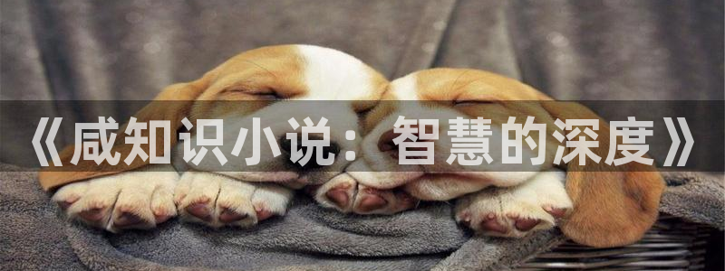 笔趣书阁免费小说官网