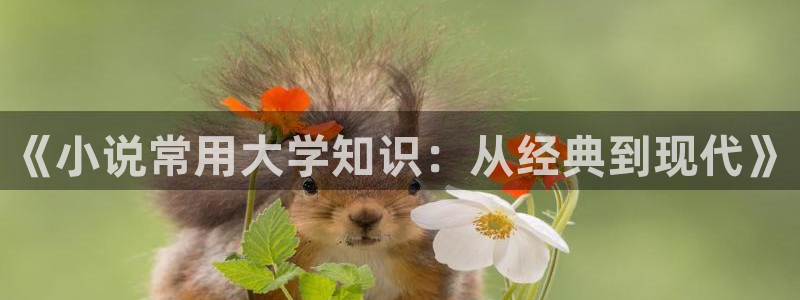 二爷家的麻雀成精了txt趣书网：《小说常用大学知识：从经典到现代》