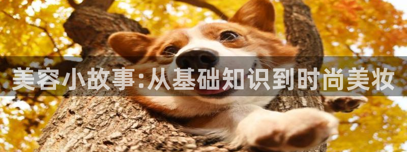 下载笔趣书阁小说：美容小故事:从基础知识到时尚美妆