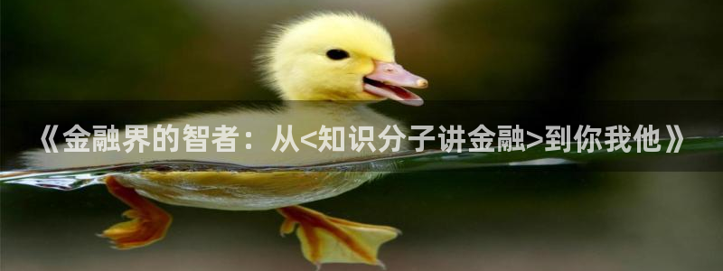 高度契合txt趣书网：《金融界的智者：从<知识分子讲金融>到你我他》