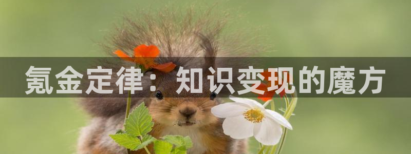 笔趣书阁无广告纯净版
