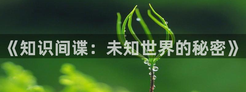 笔趣书阁免费小说大全app